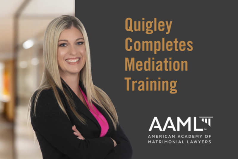 SLQ Mediation Web